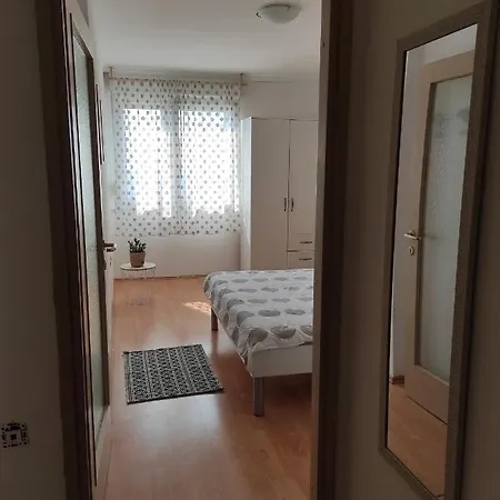 Sunny In Apartment